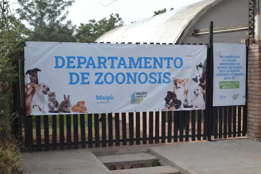 Cuidar a tu mascota ahora es m�s f�cil.