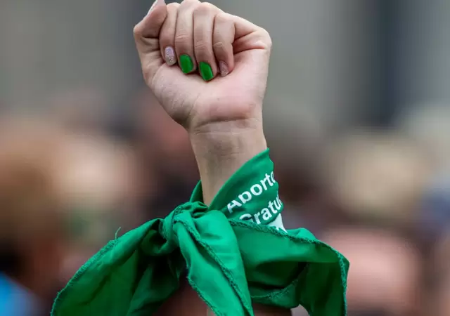 El hallazgo de restos biol�gicos en una cl�nica bonaerense reabre la pol�mica por el aborto.