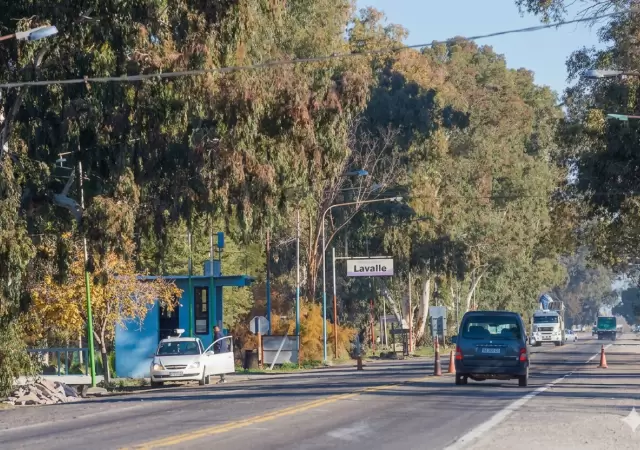 Atenci�n m�dica, castraciones y licencias: el importante operativo que arranca esta semana en Lavalle