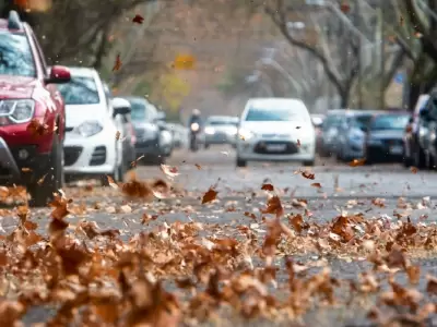�CLASES SUSPENDIDAS POR ZONDA! 🚩 Qu� zonas de Mendoza no tienen escuela esta tarde.