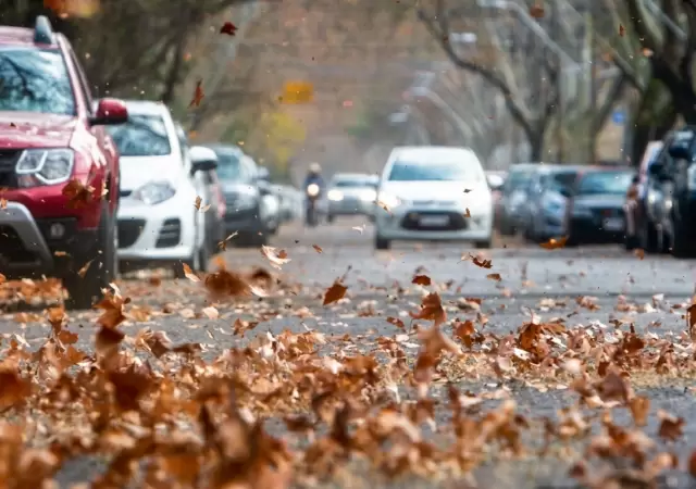 �CLASES SUSPENDIDAS POR ZONDA! 🚩 Qu� zonas de Mendoza no tienen escuela esta tarde.