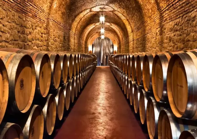 bodegas-argentinajpg