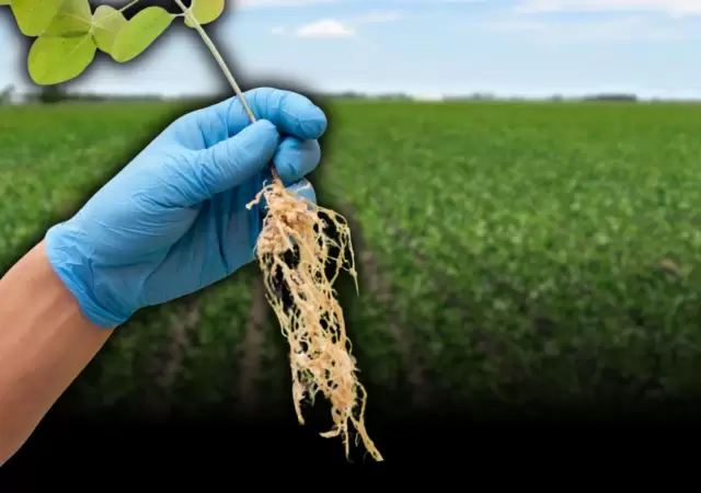 Revoluci�n biol�gica en el campo: los desaf�os para liderar el agro