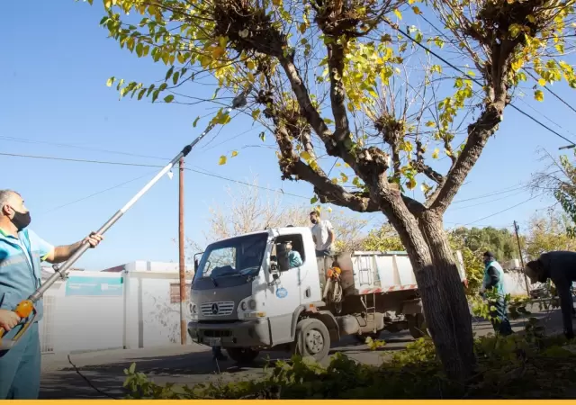 La nueva Ley de Arbolado busca agilizar la gesti�n municipal para proteger la vida de los vecinos y renovar el pulm�n verde.