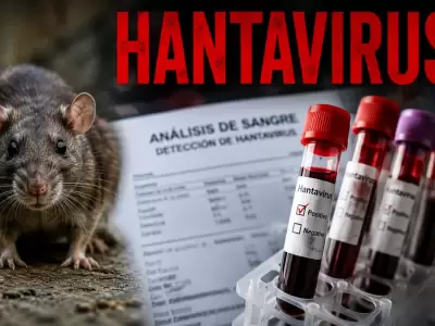 M�xima alerta en el puerto de Tenerife ante el arribo del buque afectado por el virus Andes, una variante con una tasa de letalidad del 38%.