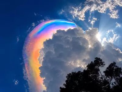 Conoc� por qu� se forman estos colores en el cielo y c�mo ver el fen�meno.