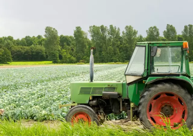 �ALERTA EN EL CAMPO! El sem�foro de Coninagro se ti�� de rojo: �Qu� productos est�n en crisis?