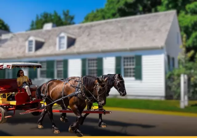 Sin bocinas ni motores: los carruajes tirados por caballos son el principal medio de transporte en Mackinac desde hace m�s de un siglo.