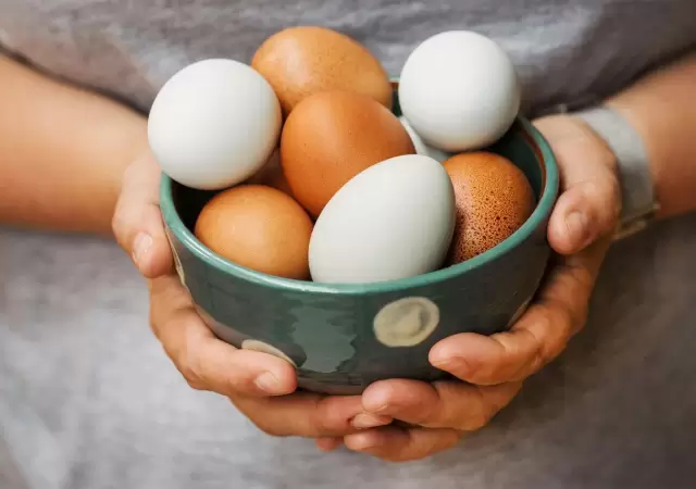 Argentina lidera el consumo mundial de huevos: r�cord hist�rico y datos de CAPIA