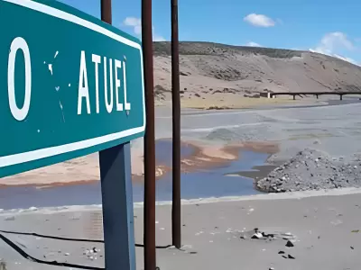 el interactivo
