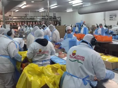 Crisis en Granja Tres Arroyos: deuda de $51.700 millones y riesgo de despidos.