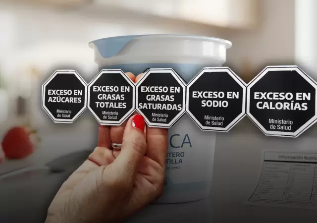 circulo politico (12)