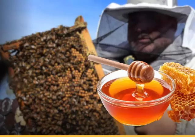 M�s all� de la miel tradicional, la exportaci�n de material vivo abre un mercado millonario para Mendoza en la Uni�n Europea.