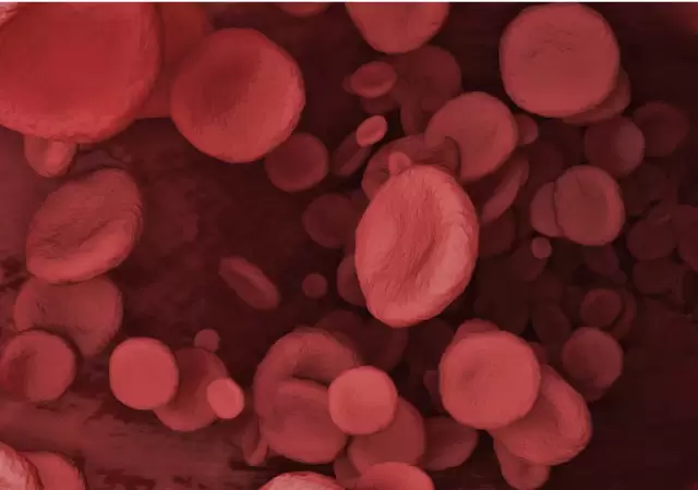 En Argentina se diagnostican cerca de 13 mil nuevos casos de c�nceres de la sangre cada a�o