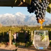 El mosto argentino se consolida como endulzante estrat�gico para multinacionales