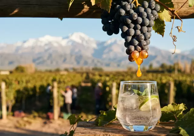 Mosto como endulzante