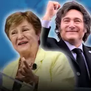 Efecto RIGI y orden fiscal: los sectores que lideran la lluvia de inversiones en el pa�s