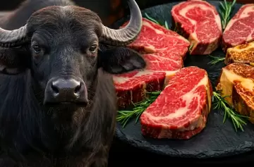 Carne de b�falo gana terreno por ser 20% m�s barata que la vacuna