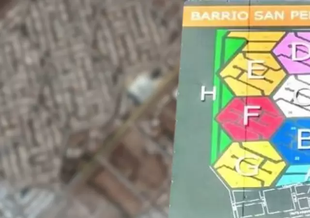 circulo politico
