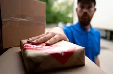 Claves y topes vigentes del sistema puerta a puerta para aprovechar el boom sin errores.