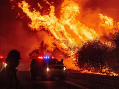 Mueren tres bomberos por incendios forestales en Estados Unidos y obligan a evacuaciones masivas.
