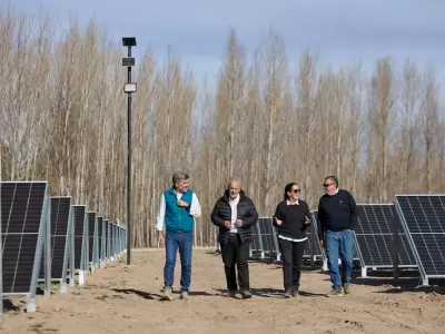 En el parque hubo una inversi�n de $410 millones, cuenta con 500 paneles solares de 550 watts pico,