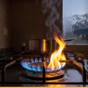 Ola polar en Mendoza: claves para una calefacci�n segura