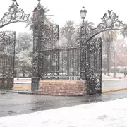 Nieve en Mendoza: los destinos que se ti�eron de blanco