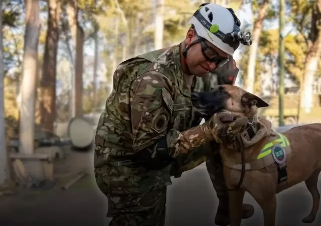 Derek y Jack, los canes militares que lideran la b�squeda de sobrevivientes bajo los escombros en la zona cero.