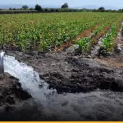 Gesti�n del agua en Mendoza: el plan del CONICET hacia 2050