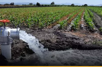 La producci�n agr�cola y el desarrollo industrial de Mendoza dependen cr�ticamente de una gesti�n eficiente del recurso h�drico.