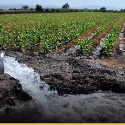 La producci�n agr�cola y el desarrollo industrial de Mendoza dependen cr�ticamente de una gesti�n eficiente del recurso h�drico.