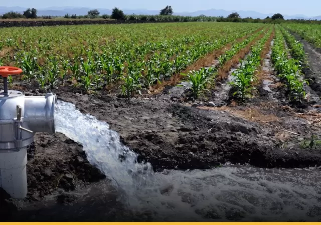 La producci�n agr�cola y el desarrollo industrial de Mendoza dependen cr�ticamente de una gesti�n eficiente del recurso h�drico.