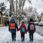 Ola polar extrema: qu� provincias suspenden las clases presenciales este jueves 2 de julio
