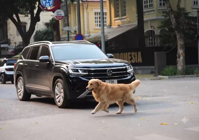 El riesgo de las pickups: Por qu� la moda de los SUV volvi� m�s peligrosas a las ciudades.