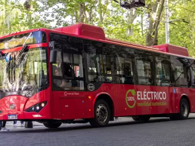 Por los Cuartos de Final de la Selecci�n Argentina, el transporte p�blico del Gran Mendoza tendr� un esquema especial.