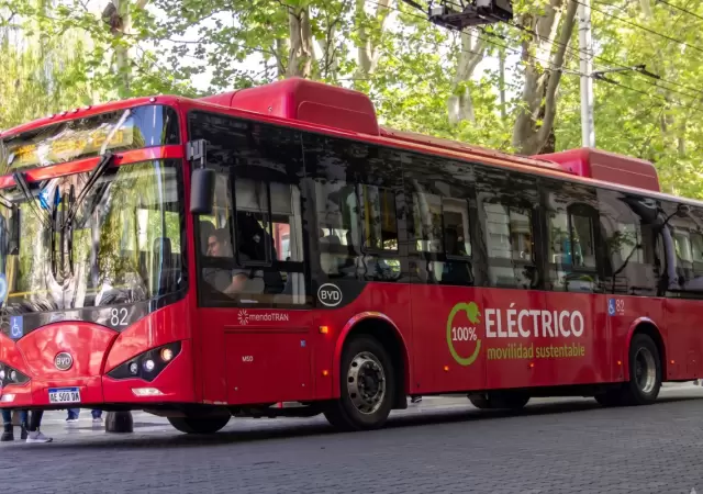 Por los Cuartos de Final de la Selecci�n Argentina, el transporte p�blico del Gran Mendoza tendr� un esquema especial.
