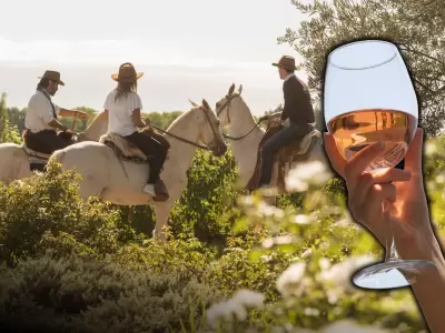 �Aventura o relax? La nueva forma de planificar tus vacaciones seg�n tu energ�a.