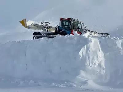 Alerta nieve en Alta Monta�a Mendoza: im�genes en vivo