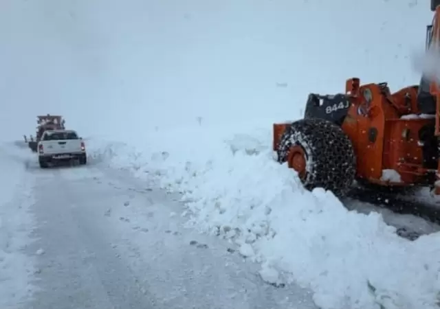 Nevadas en Alta Monta�a
