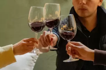 Escapada premium de vinos y gastronom�a en Maip�.