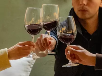 Escapada premium de vinos y gastronom�a en Maip�.