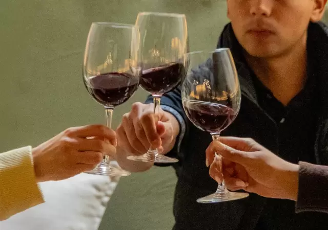 Escapada premium de vinos y gastronom�a en Maip�.
