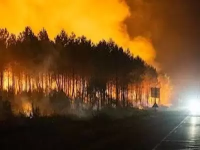 Francia en alerta m�xima por ola de incendios