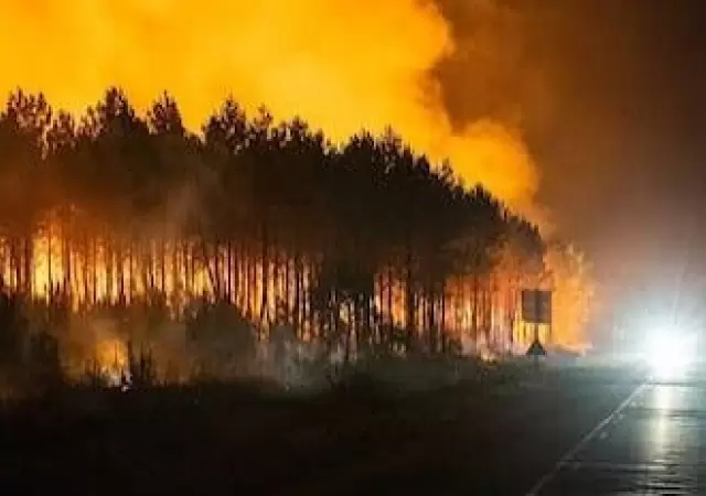 Francia en alerta m�xima por ola de incendios