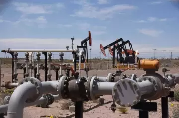 Suba del petr�leo: el impacto en Argentina