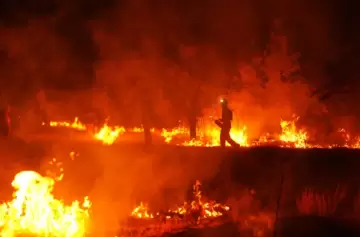 Hay m�s de 330.000 evacuados en Europa por el calor.