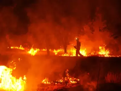 Hay m�s de 330.000 evacuados en Europa por el calor.